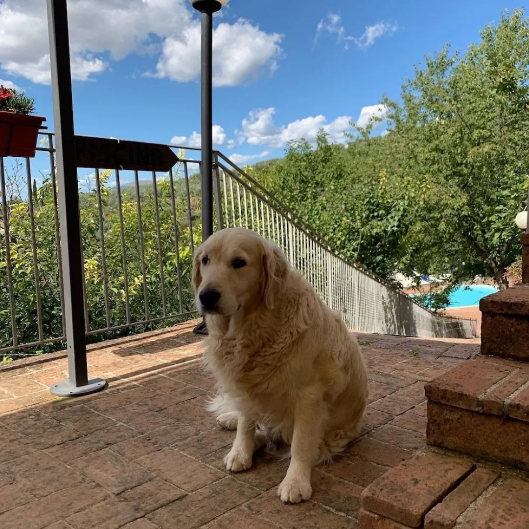 Setter House Agri Hotel