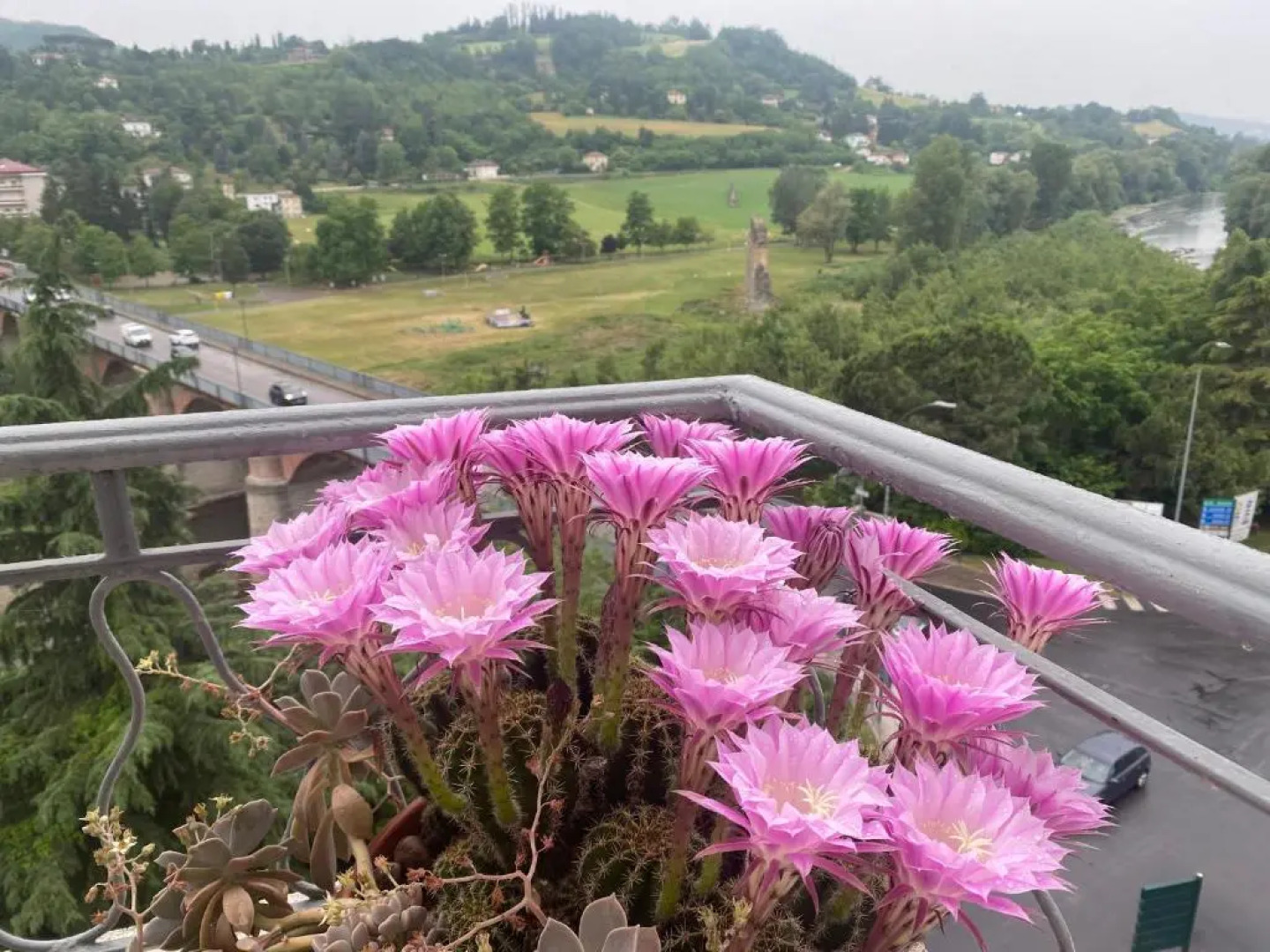 Appartamento suite Raffaella con spettacolare vista panoramica