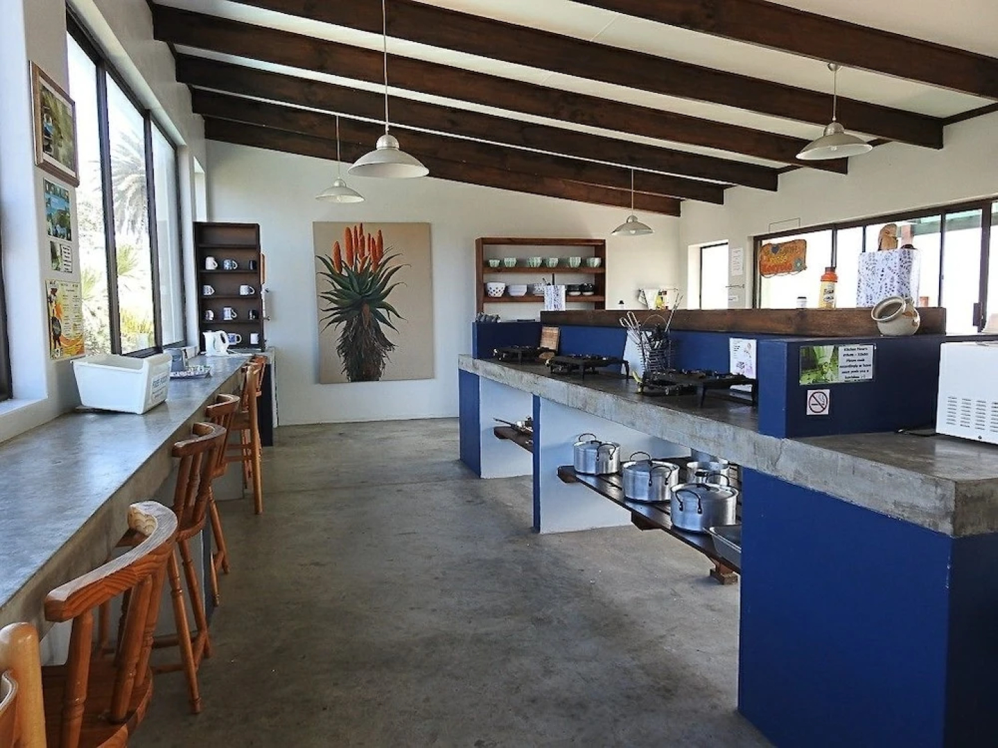 Mossel Bay Backpackers