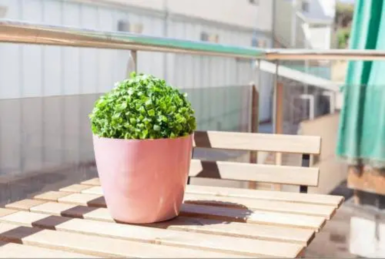 Apartamento Plaza Merida