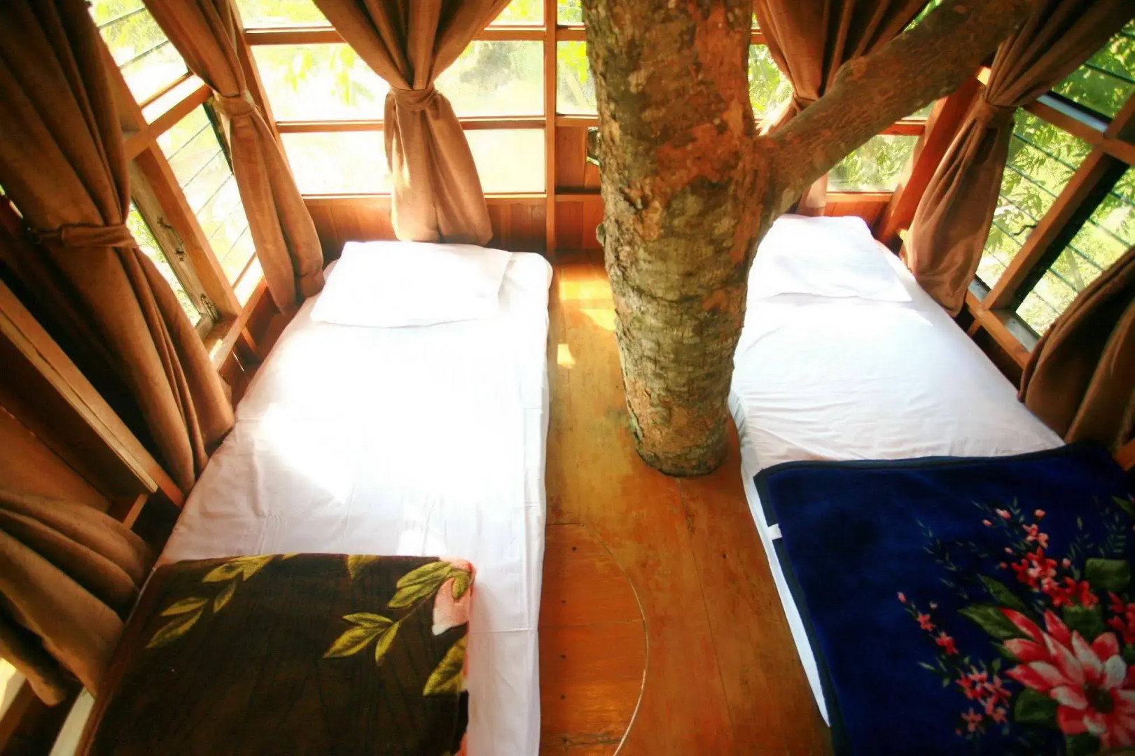 Pai Treehouse Resort