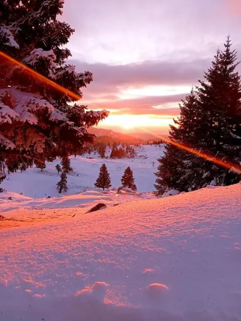 Domžalski Dom Na Mali Planini