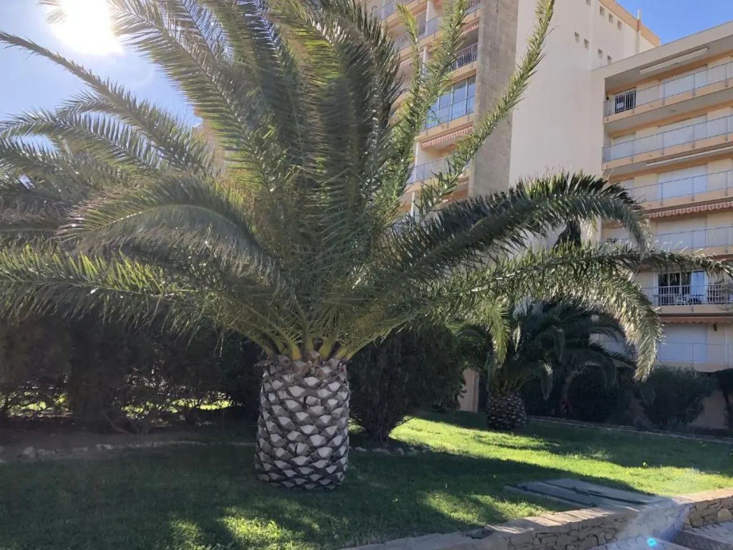 Résidence Les Cyclades