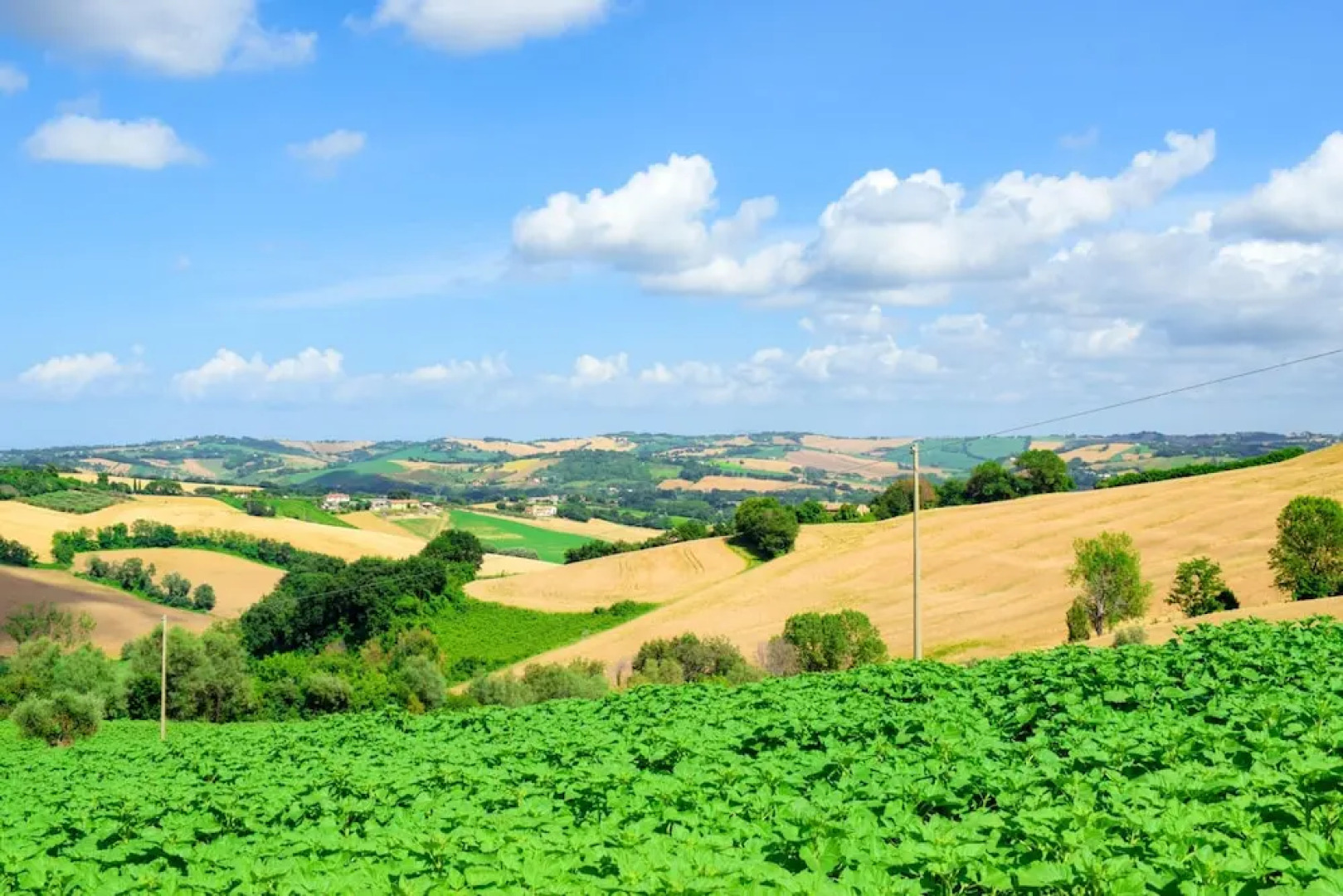 Studio in Castel Colonna, With Pool Access and Enclosed Garden
