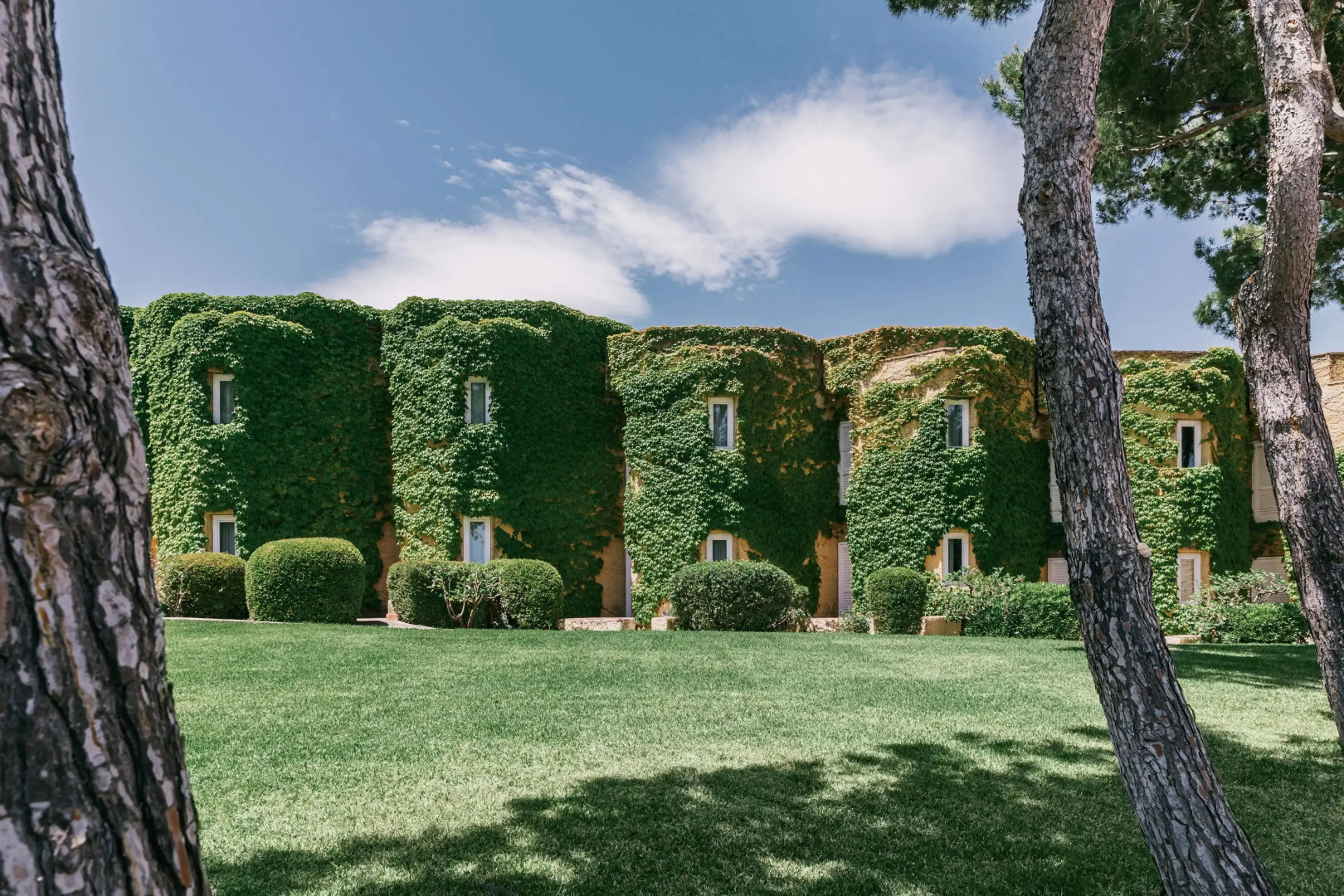 Mangia's Brucoli, Sicily, Autograph Collection