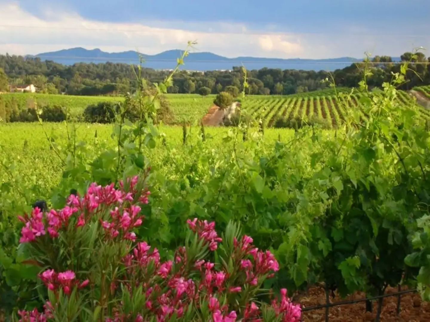 Villa With Heated Private Pool and Jacuzzi, 15 min From the Sea!