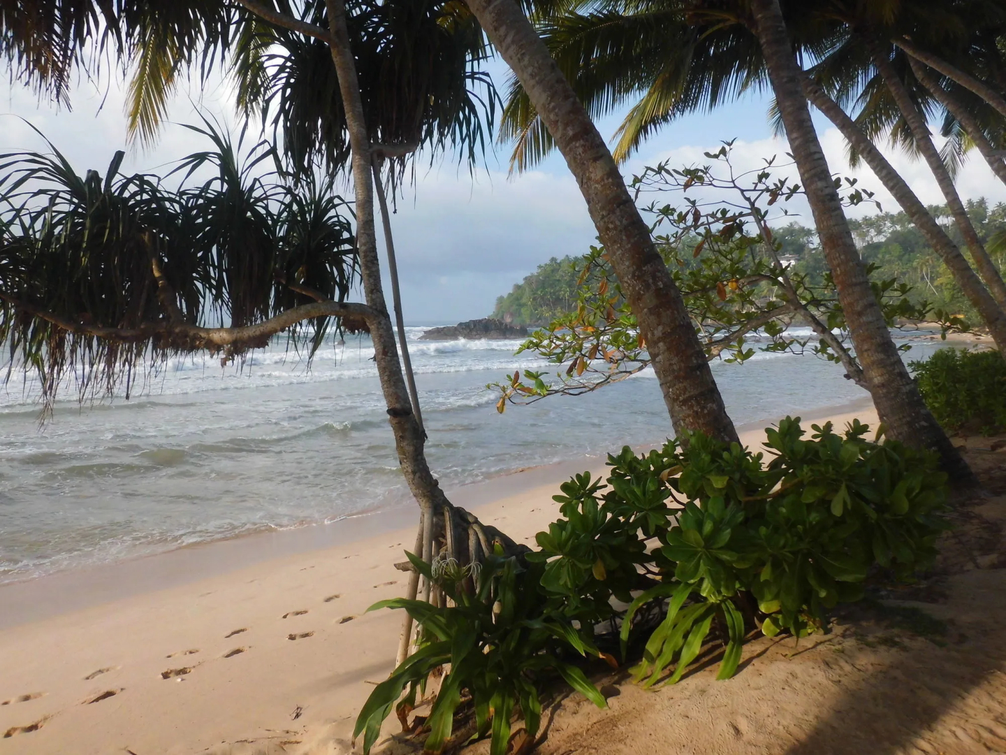 Paradise Beach Club