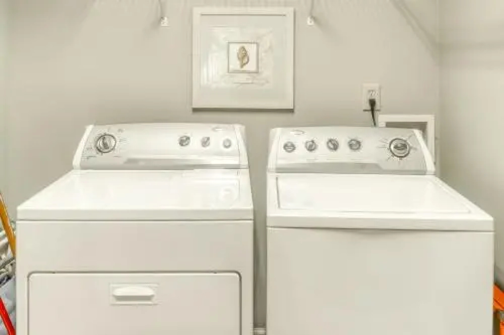 207 Belted Kingfisher