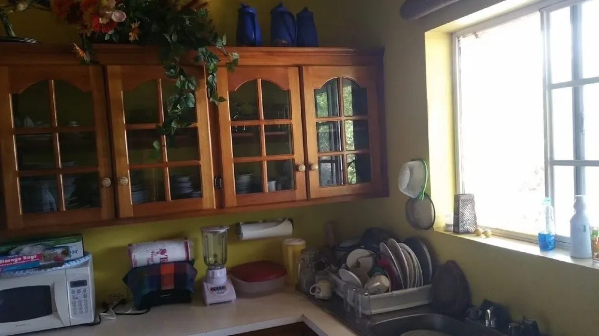 The Inn At Great Bay Treasure Beach Jamaica