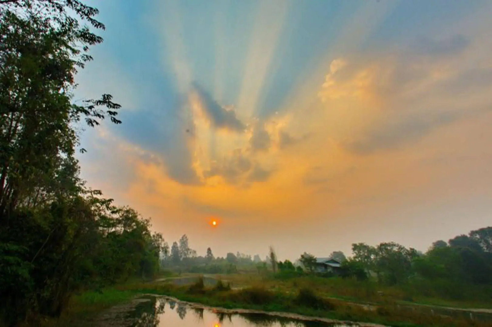 Phuphiangkhiangfah Resort