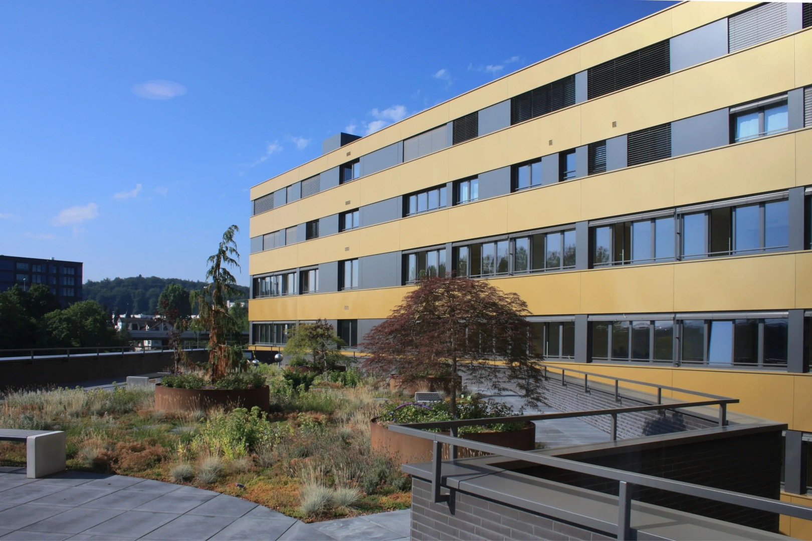 FOCUS Hotel