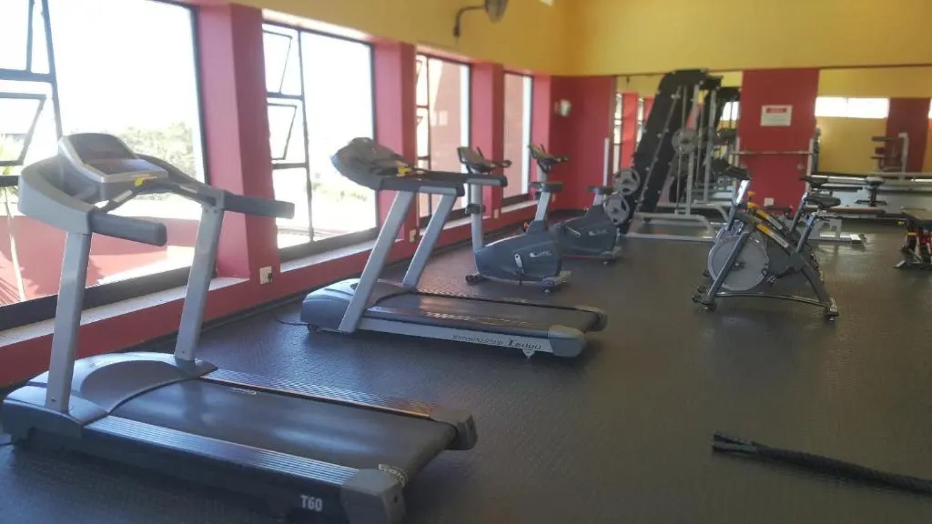 Strelitzia Apartment