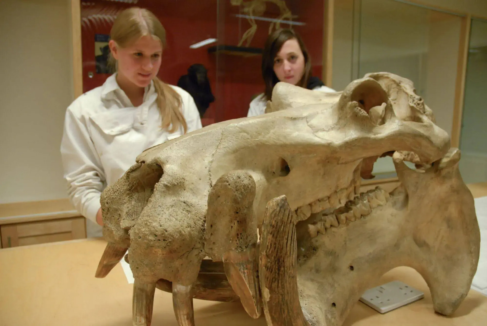 Trinity College Campus Accommodation