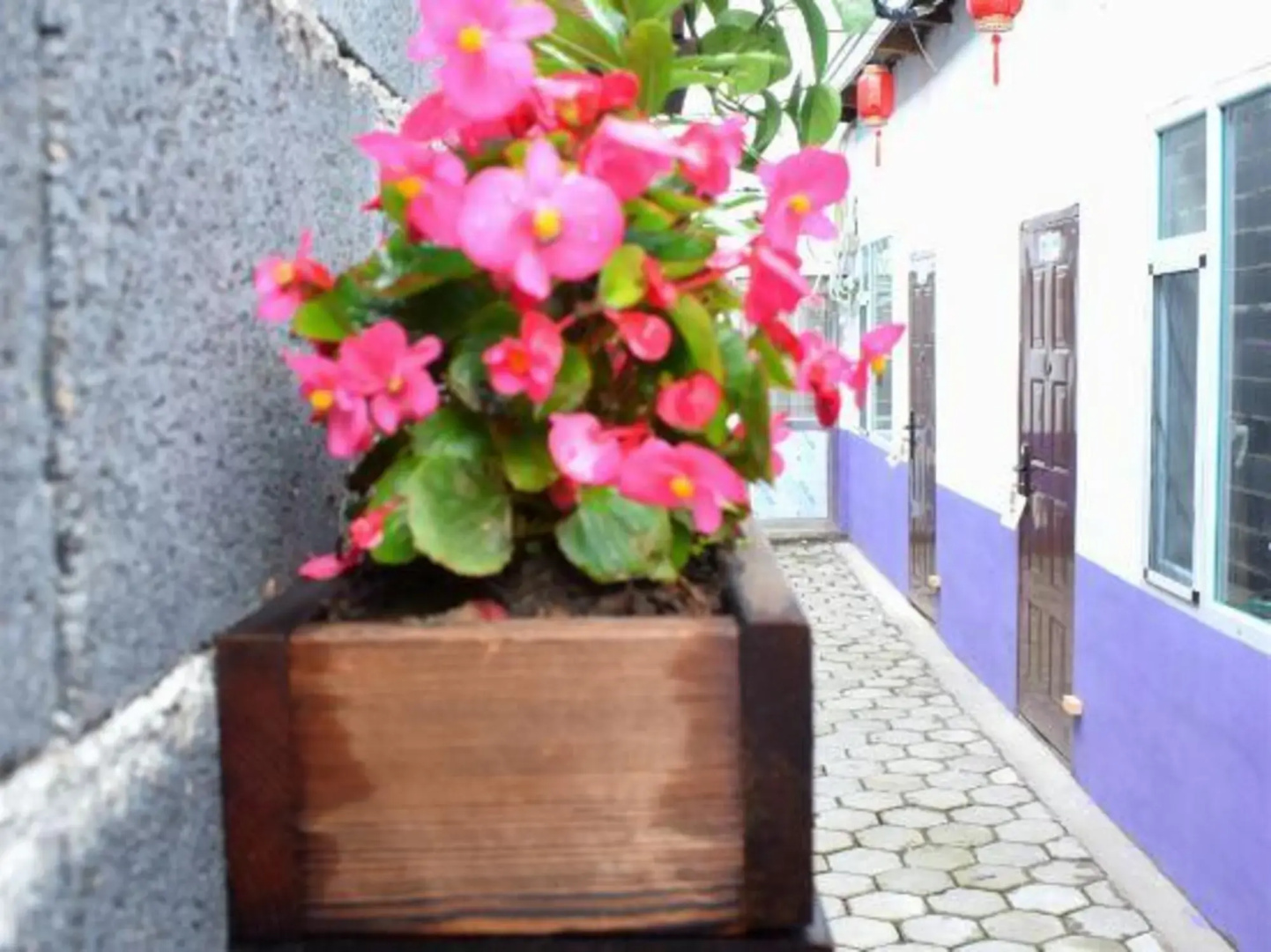 Changbai Dajun Hotel