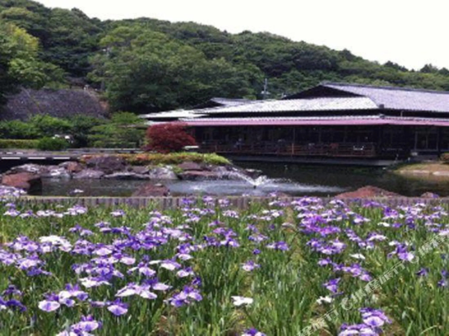 Business Hotel Shiobara