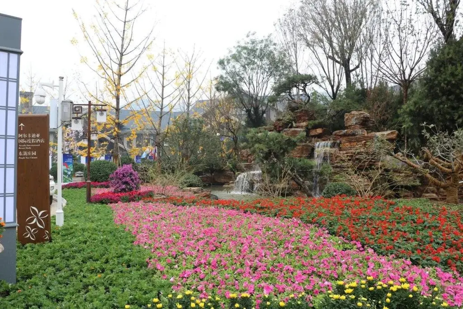 Arcadia International Resort Hotel