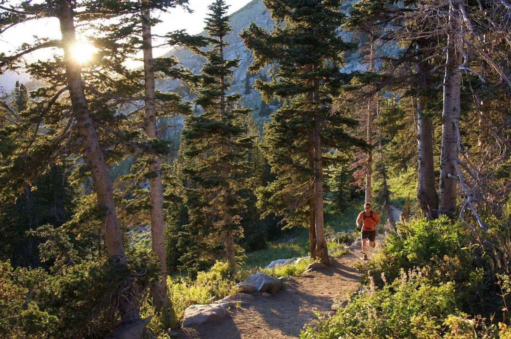 Hampton Inn Salt Lake City/Sandy