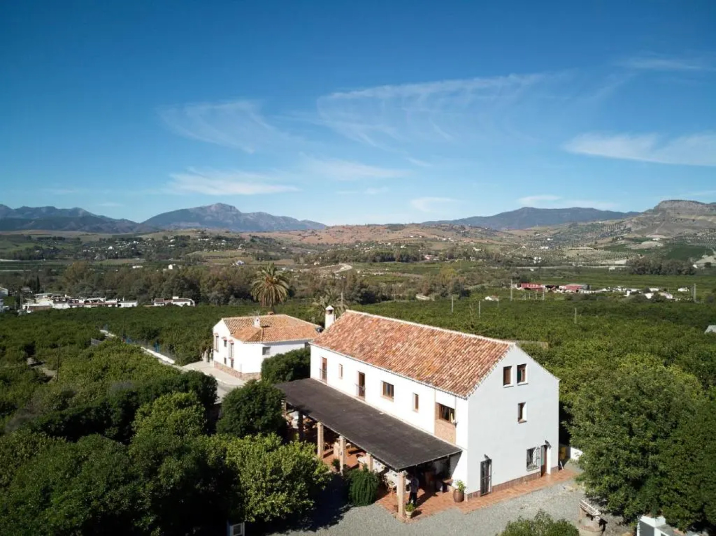 Finca Limón