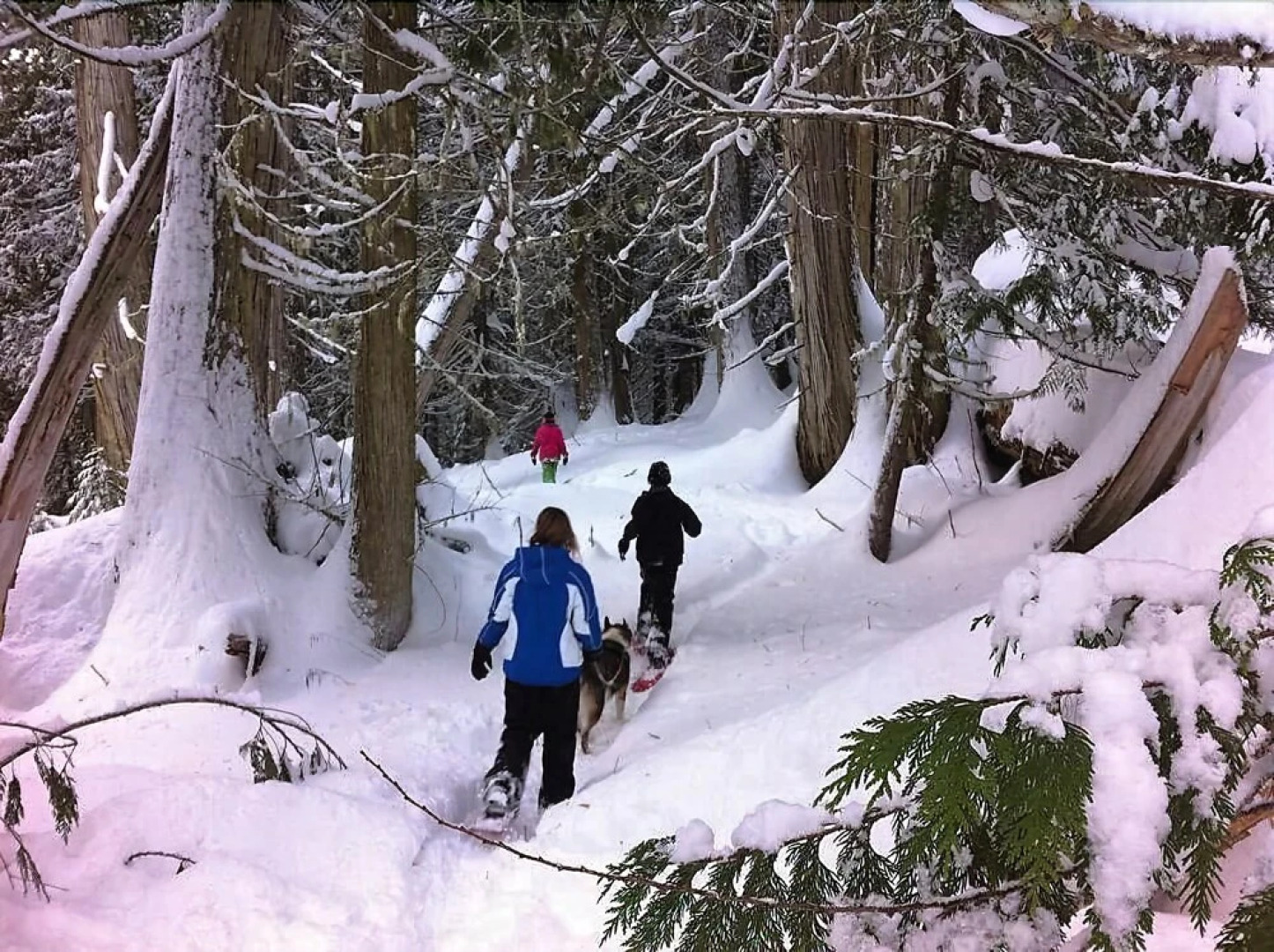 Bell Mountain Motel McBride