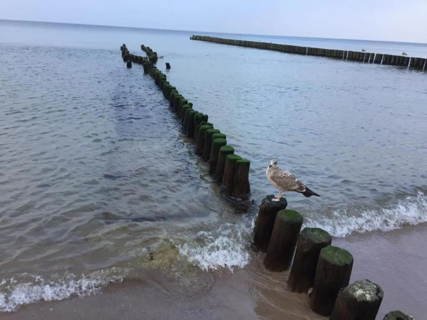 Apartament 27 Dwie Sosny