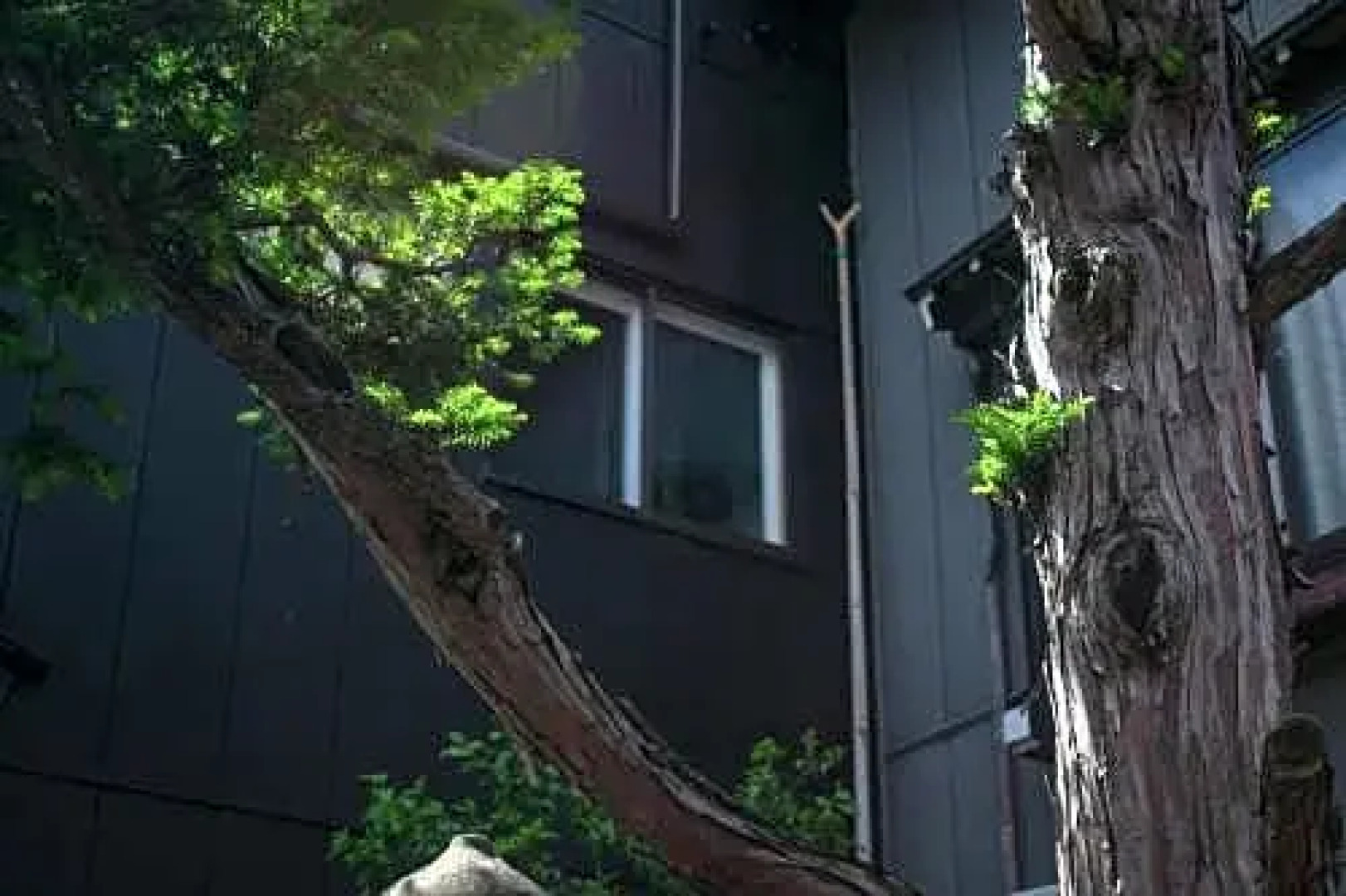 SATOYAMA STAY TONO-MACHI - Vacation STAY 77235v