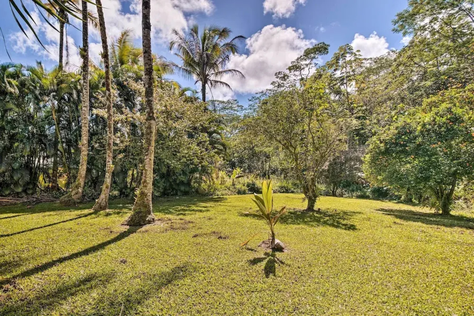 Sunny Pahoa Retreat: Snorkel, Hike & Shop!