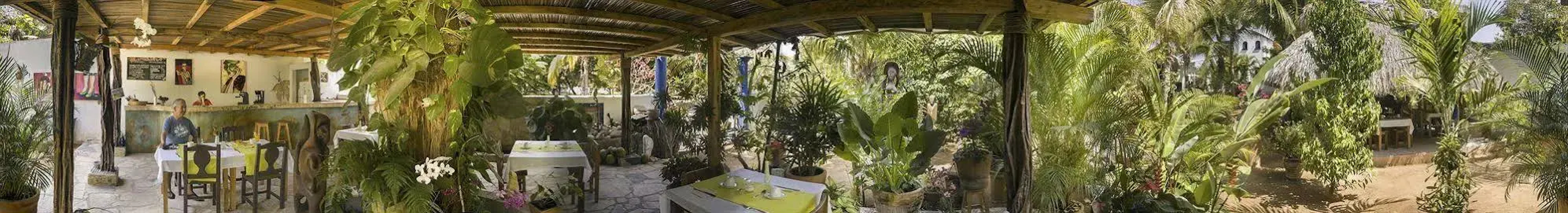 Villa Mozart y Macondo