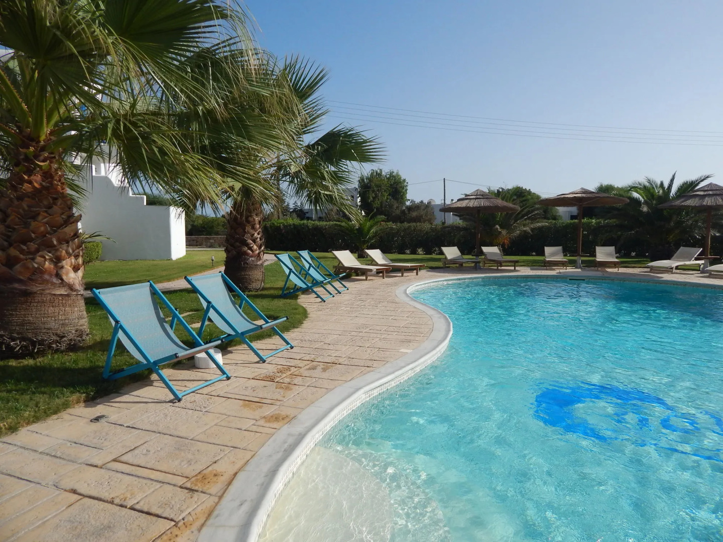 Dolphin Kastraki Studios