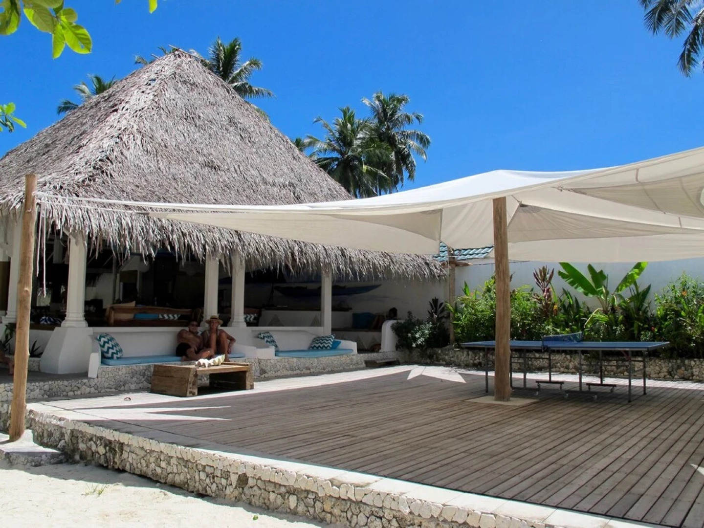 Hollow Tree's Resort