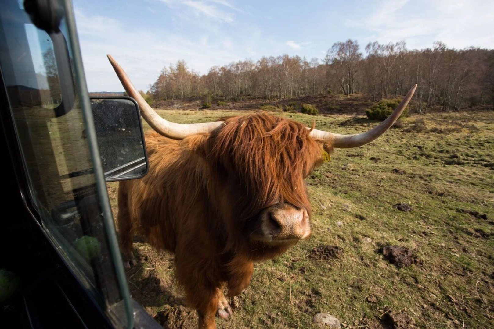 Beautiful 2-bed Chalet + Hot Tub Near Strathpeffer