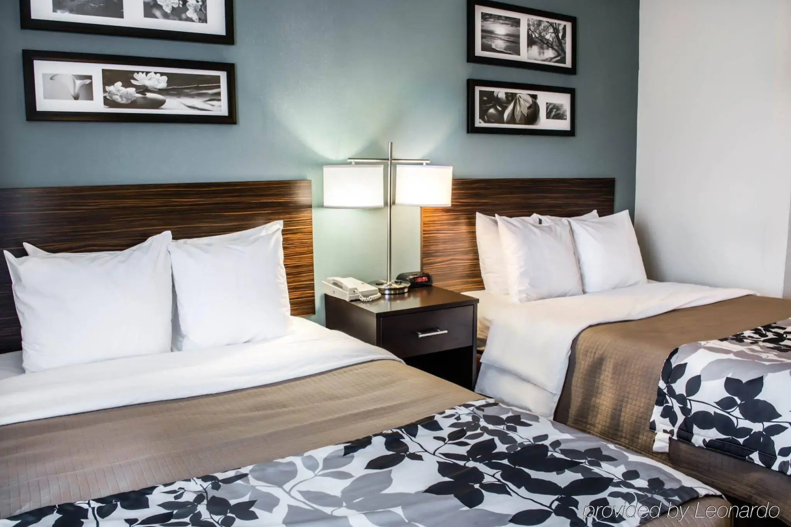 Sleep Inn & Suites Monticello