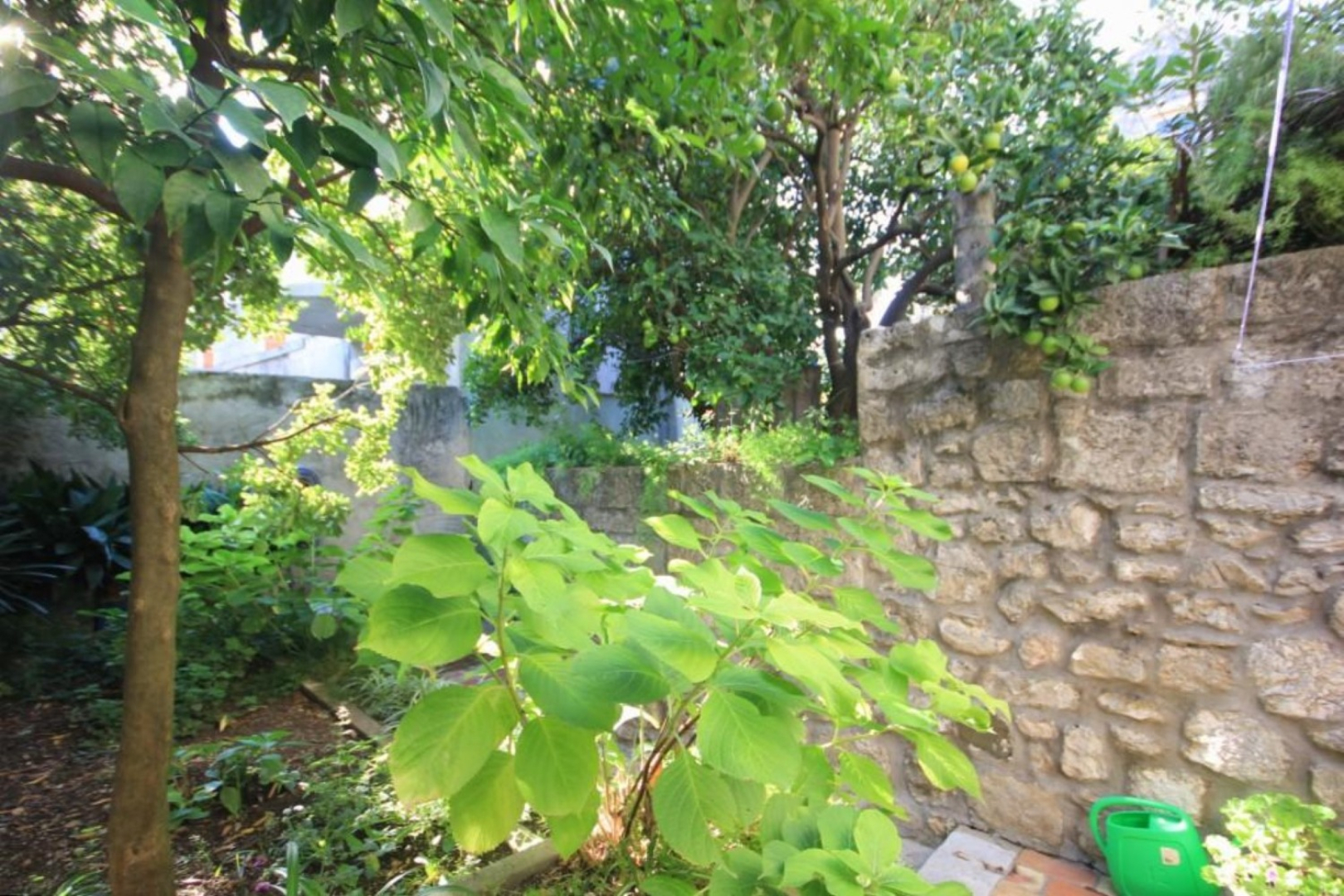 Holiday house Korta - 50 m from sea: Cavtat, Riviera Dubrovnik