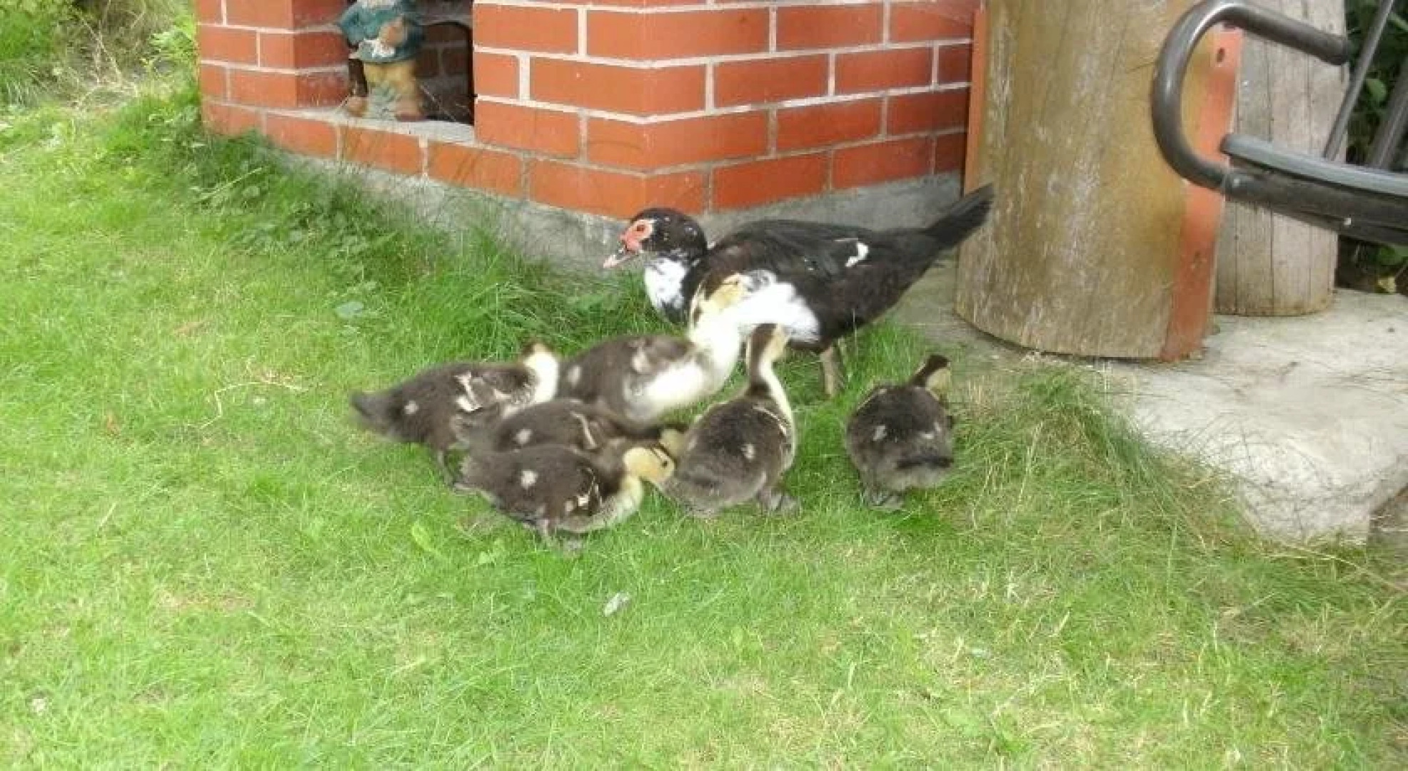 Kräuterbauernhof Rosenkranz