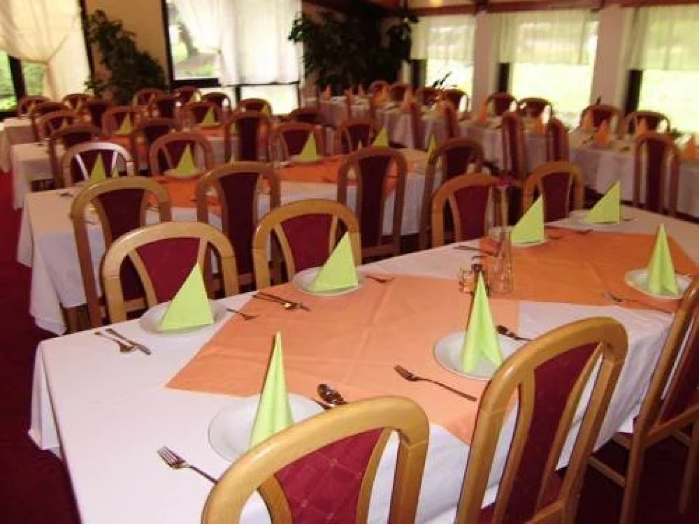 Hotel Junior Piatrova