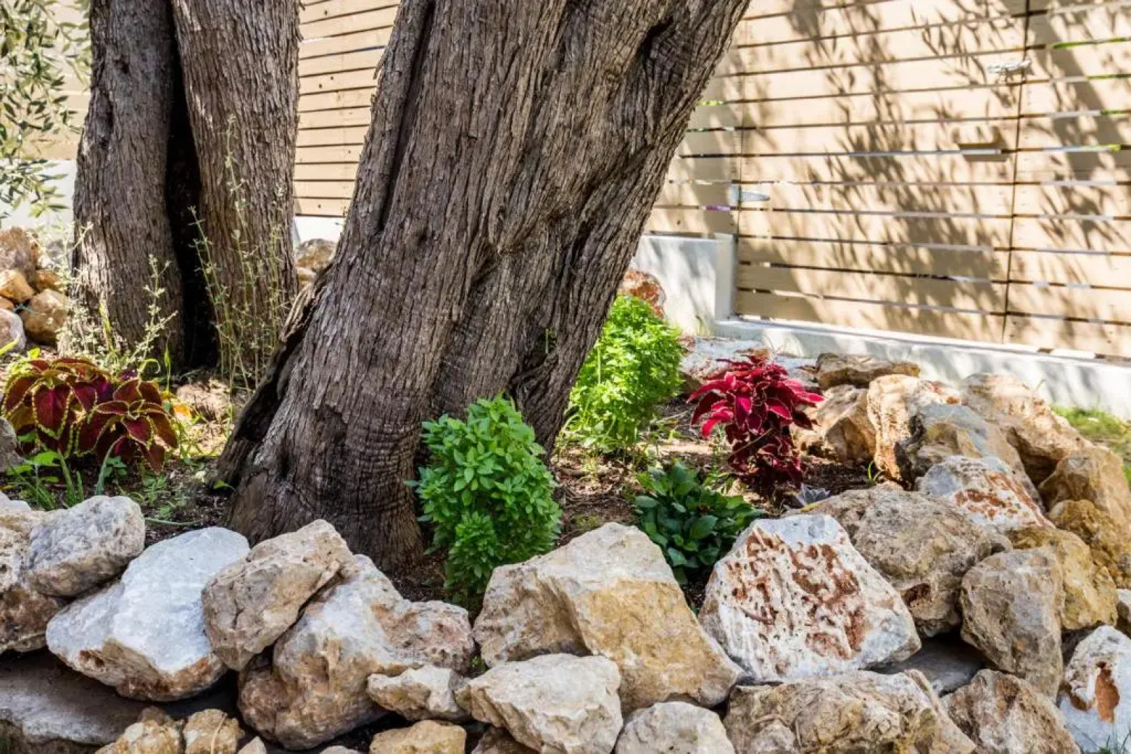 Villa 4 you iliopetra