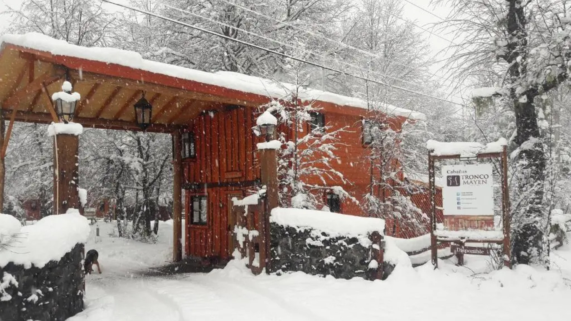 Cabañas Tronco Mayen