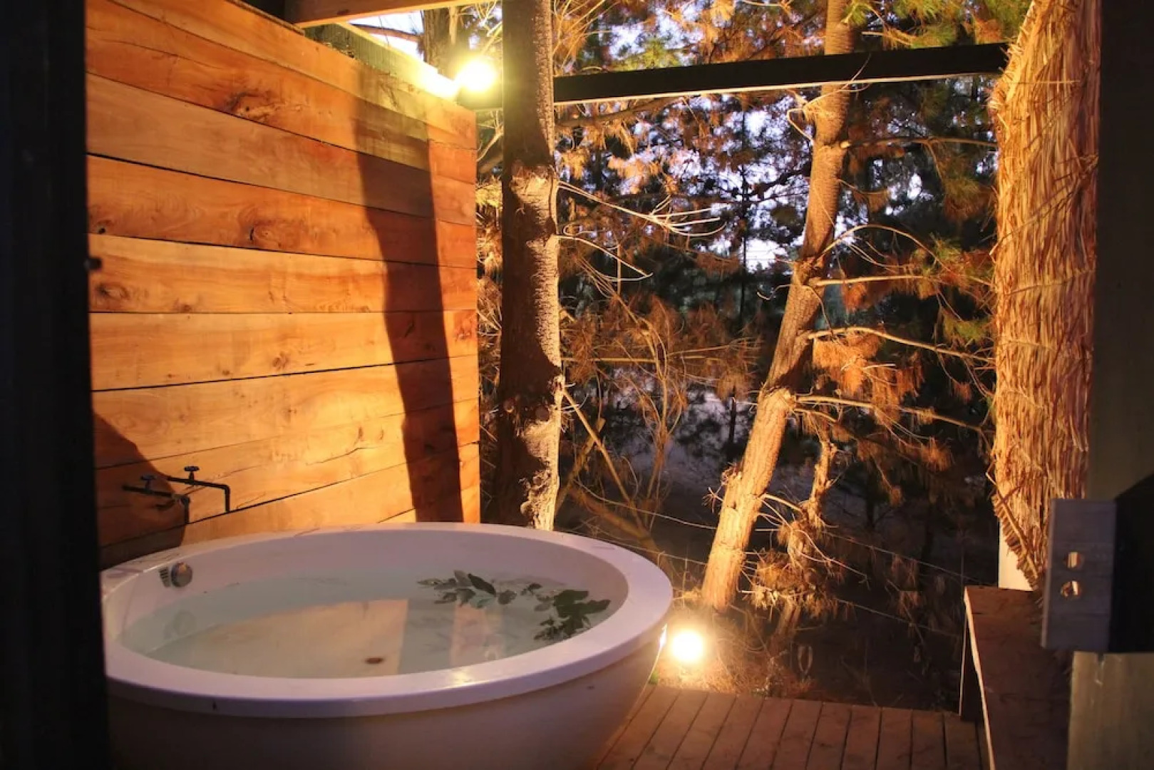 Surf Lodge Posada Punta de Lobos