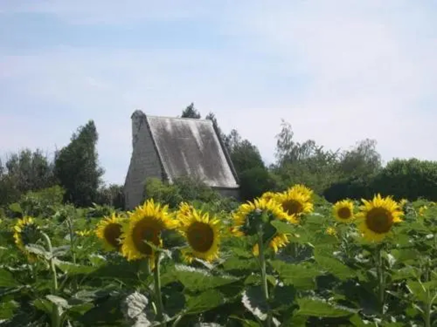 Domaine de la chapelle - Ch d'hote