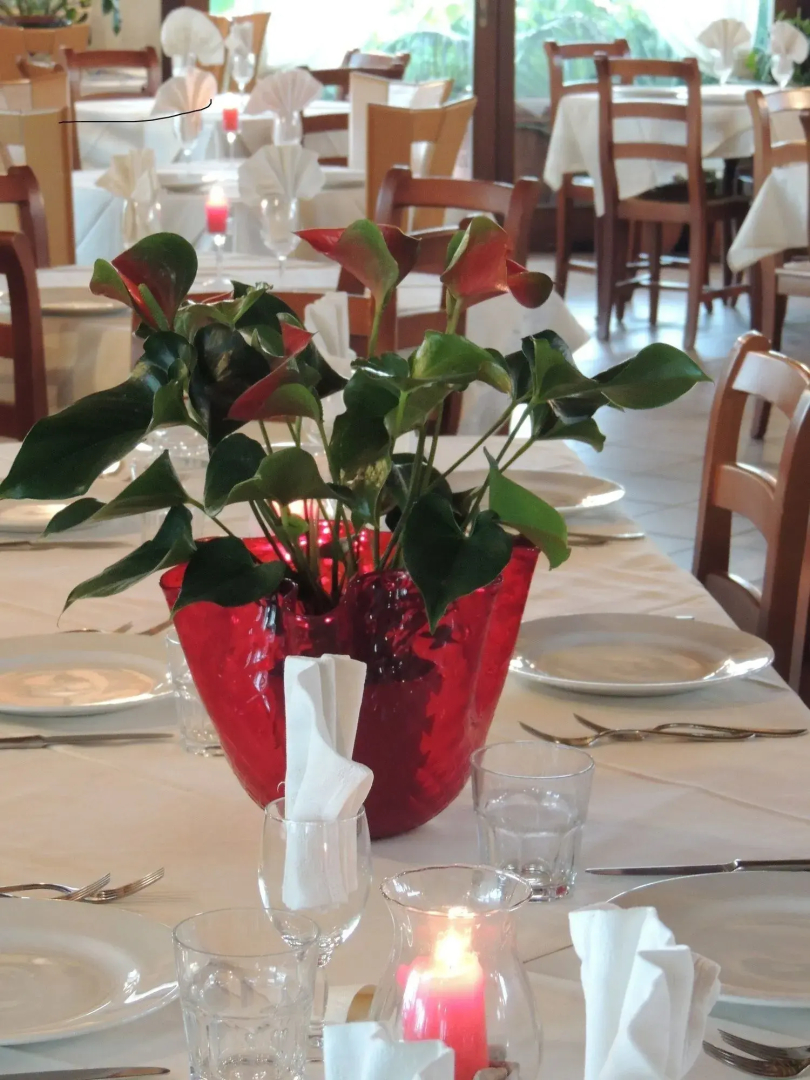 Country House Country Club