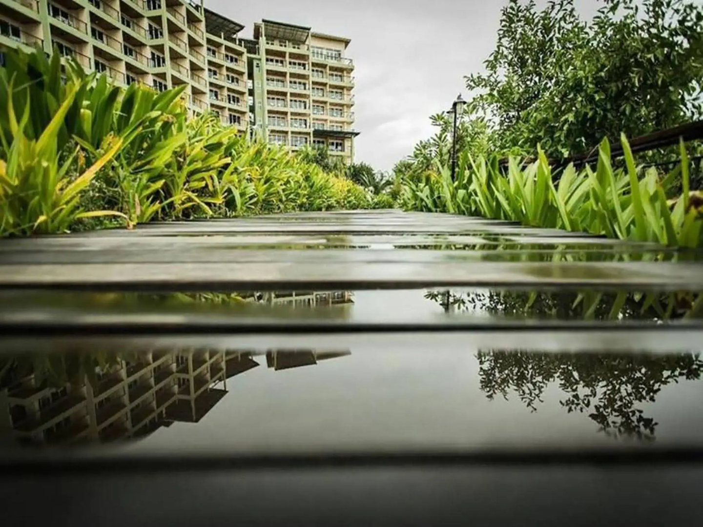Royal Phala Cliff Beach Resort and Spa