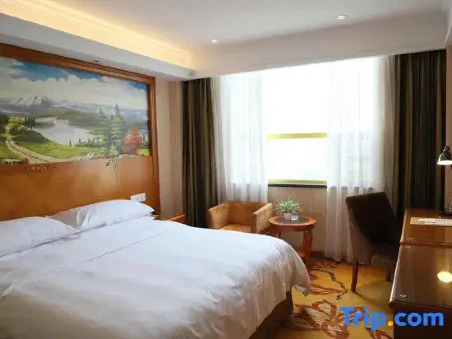 Vienna Classic Hotel (Anlu Jiefang Avenue)