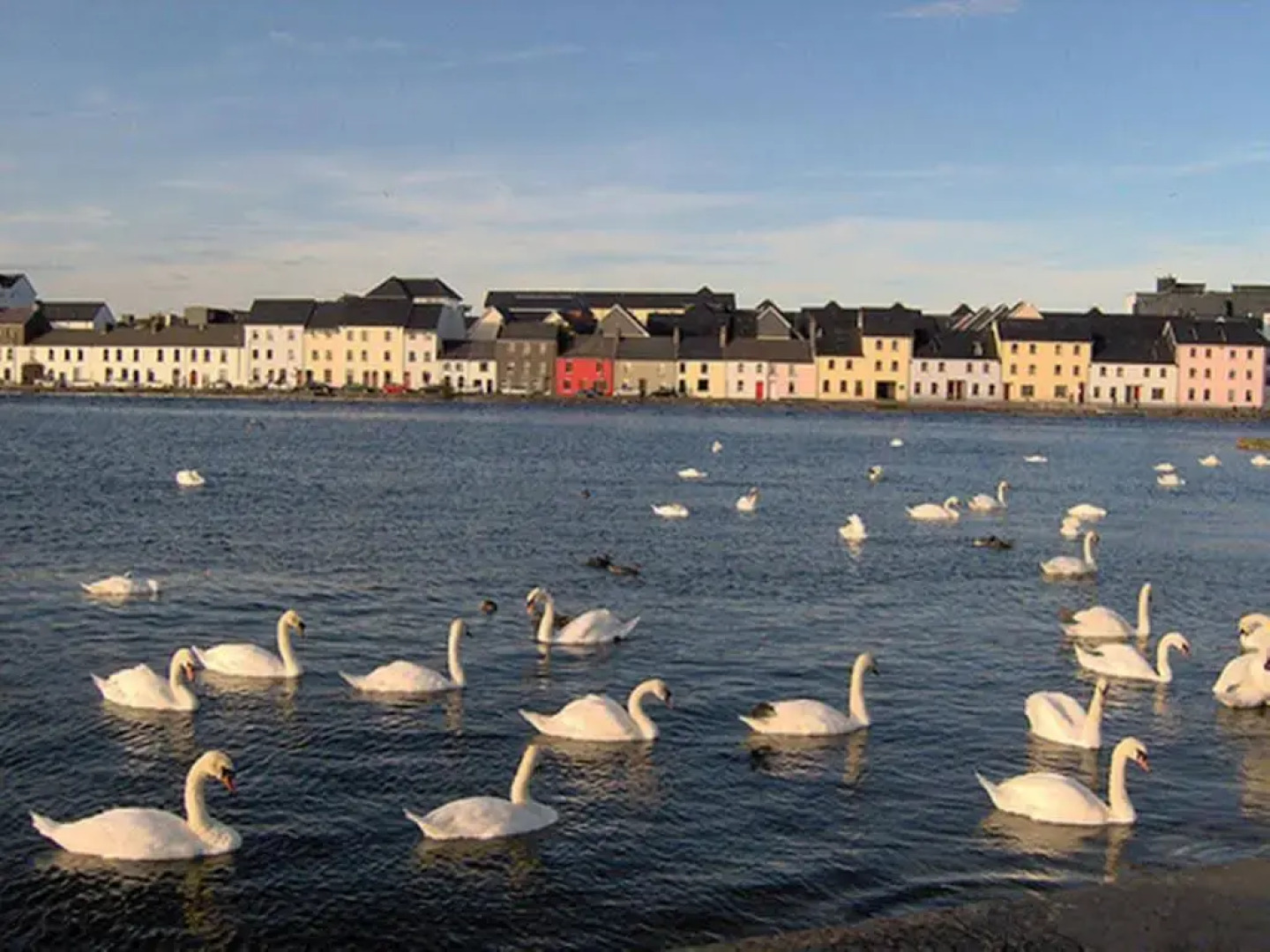 Griffin Lodge Guesthouse