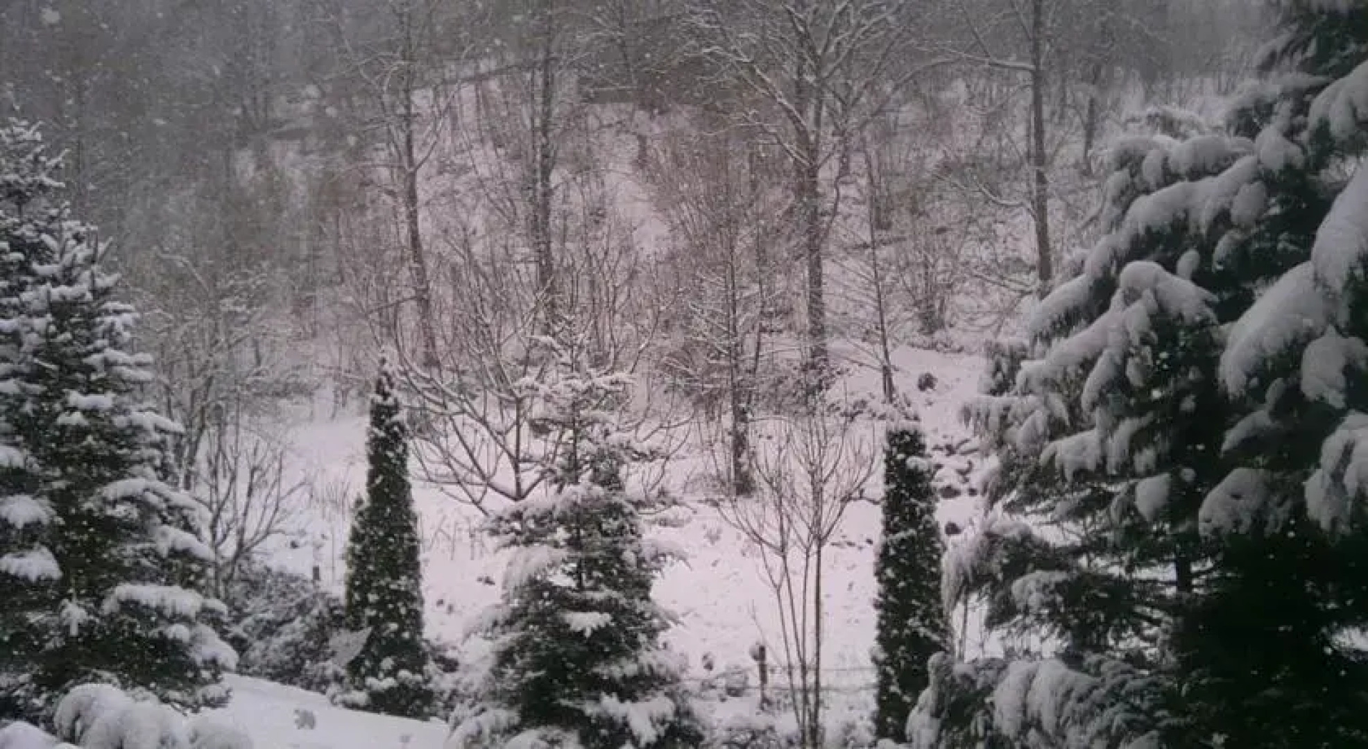 Sessiz Ev Ciftlik Hotel