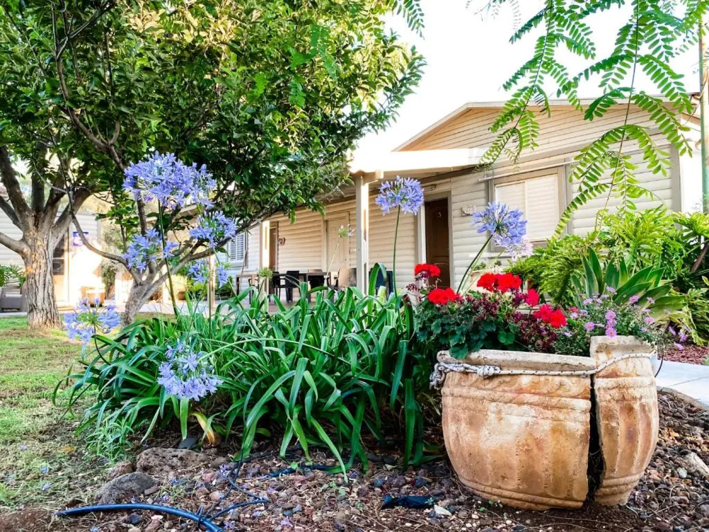 Etzel Tami Hospitality