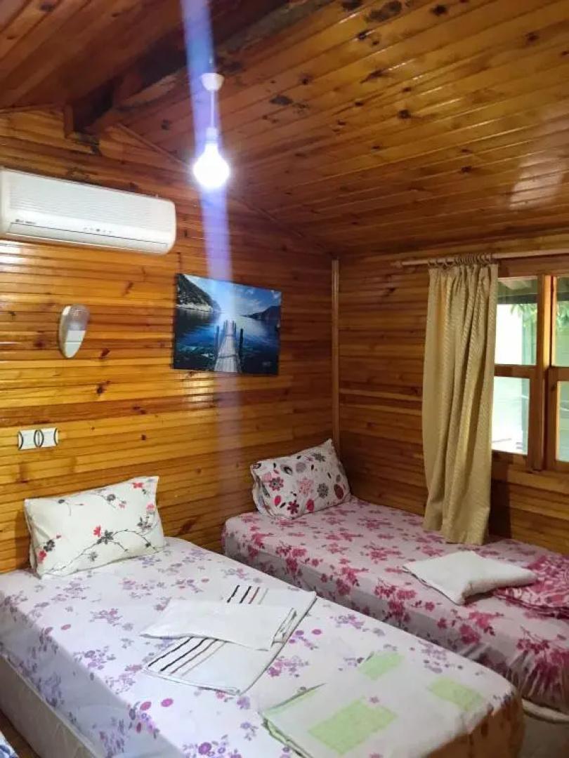 Olympos Zeytin