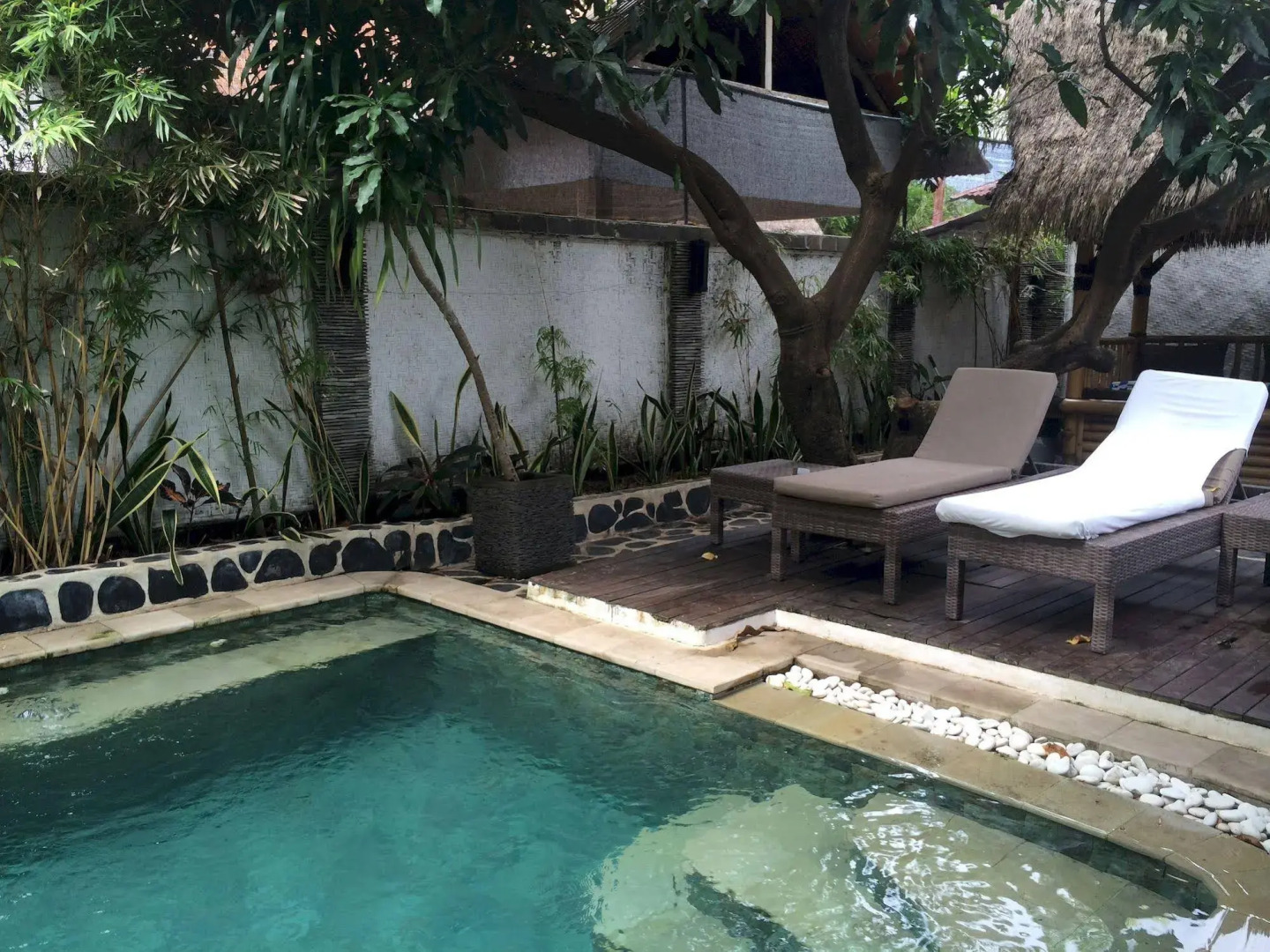 Scallywags Mango Motel