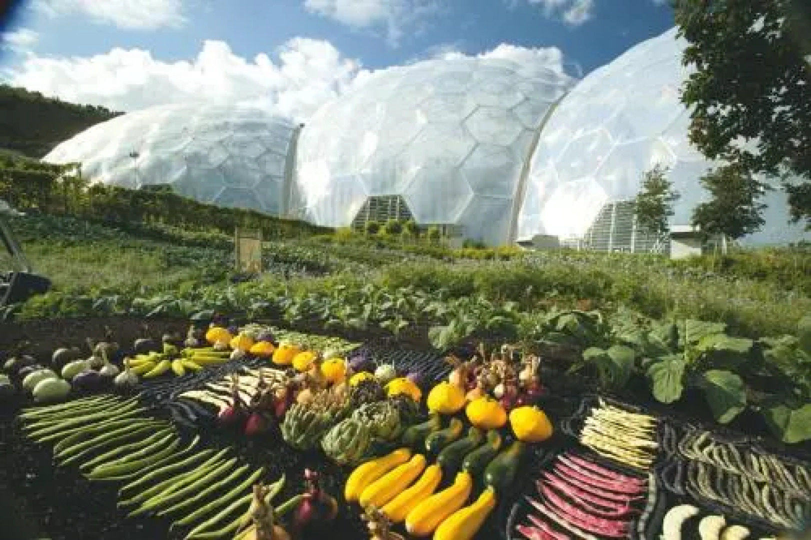 Juliots Well Holiday Park