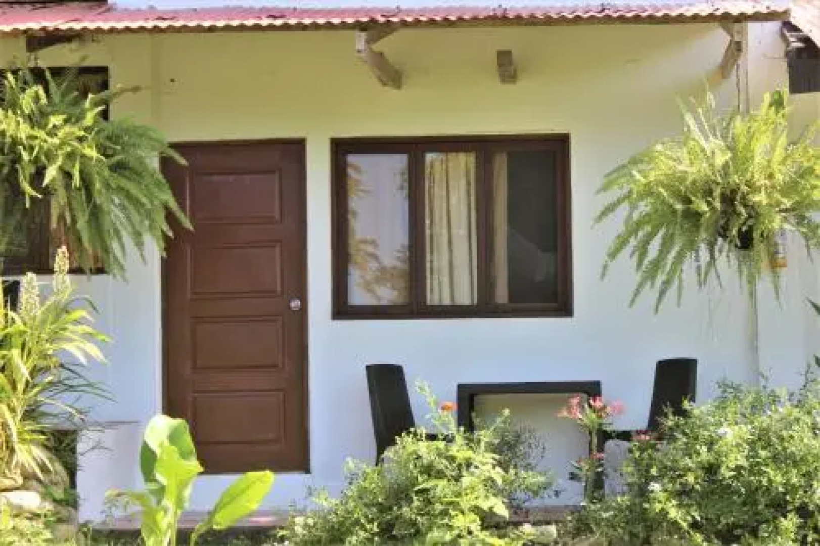 Jaguar Azul Palomino