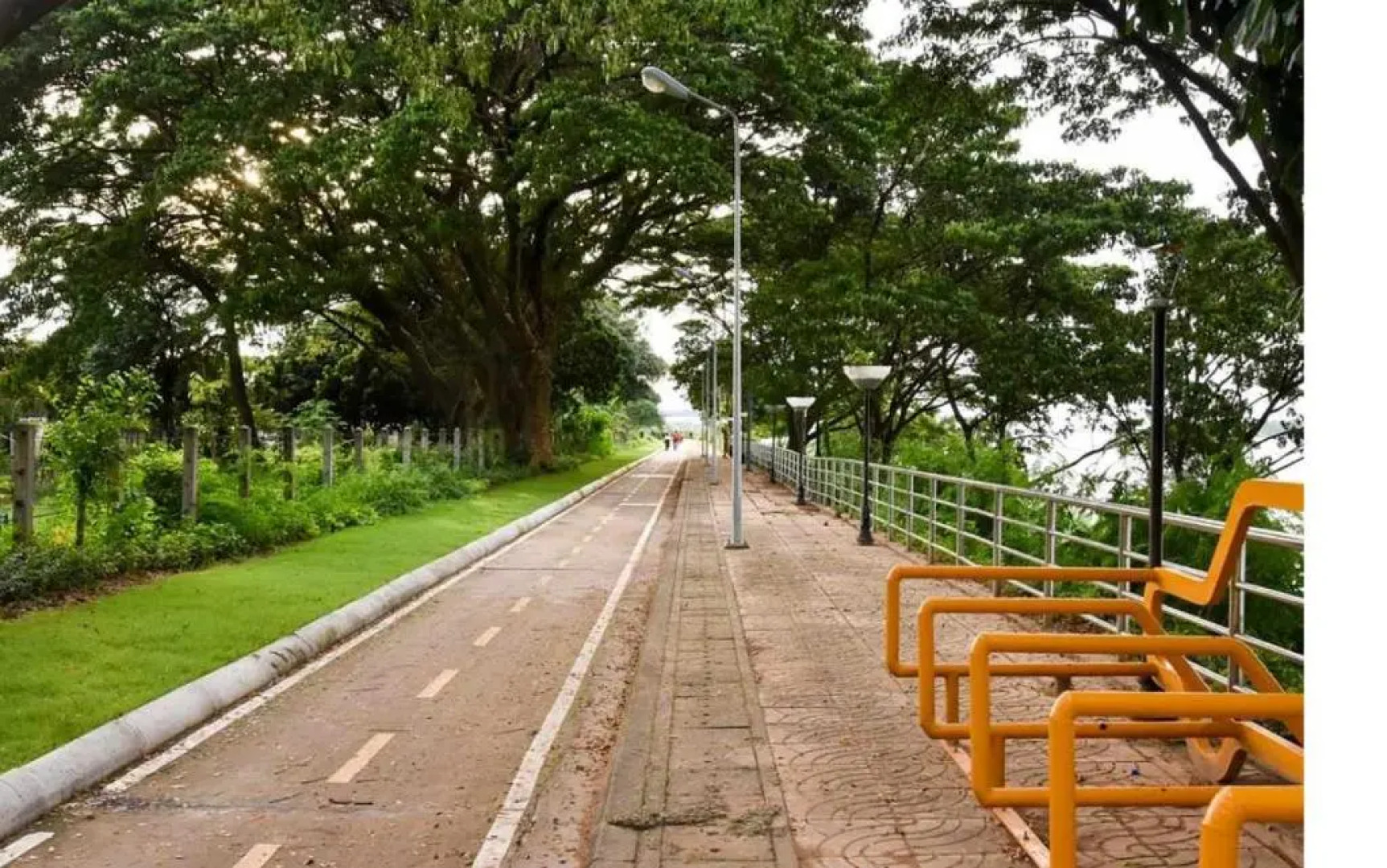 Private detached Studio