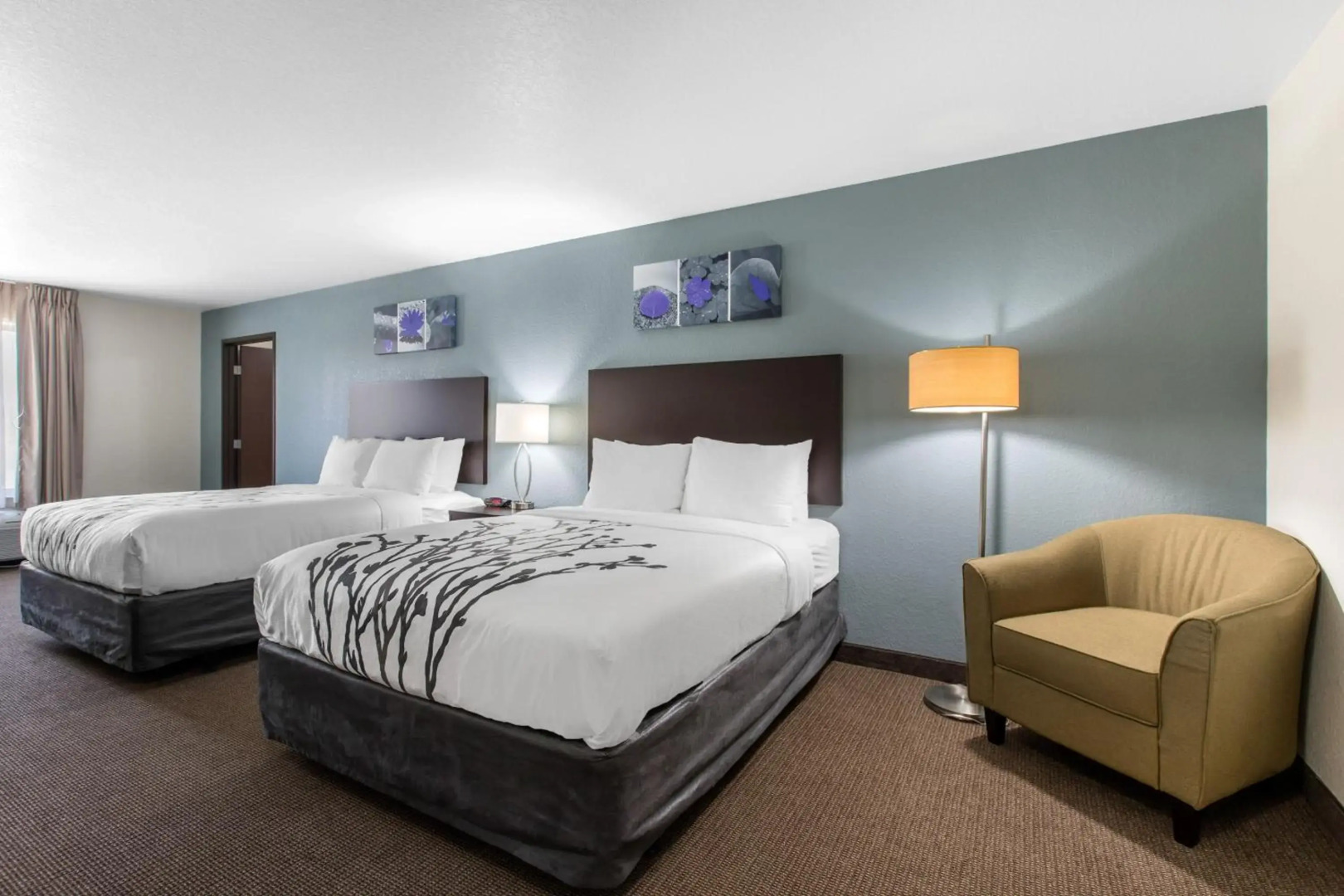 Sleep Inn & Suites Ankeny - Des Moines